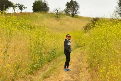 DSC_6474 (Large).JPG